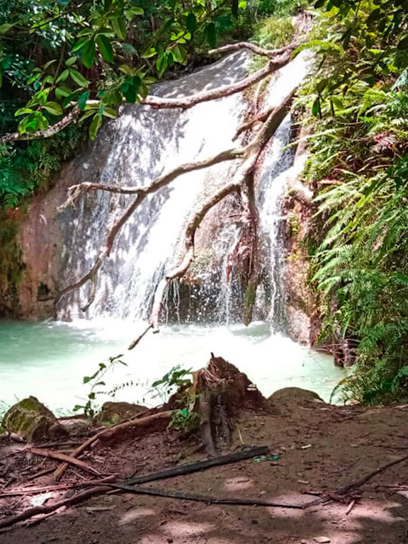 Air terjun Kedung Pengilon mengalir di antara akar pohon yang menjuntai ke kolam toska.